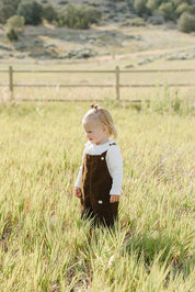 Brown Corduroy Dress