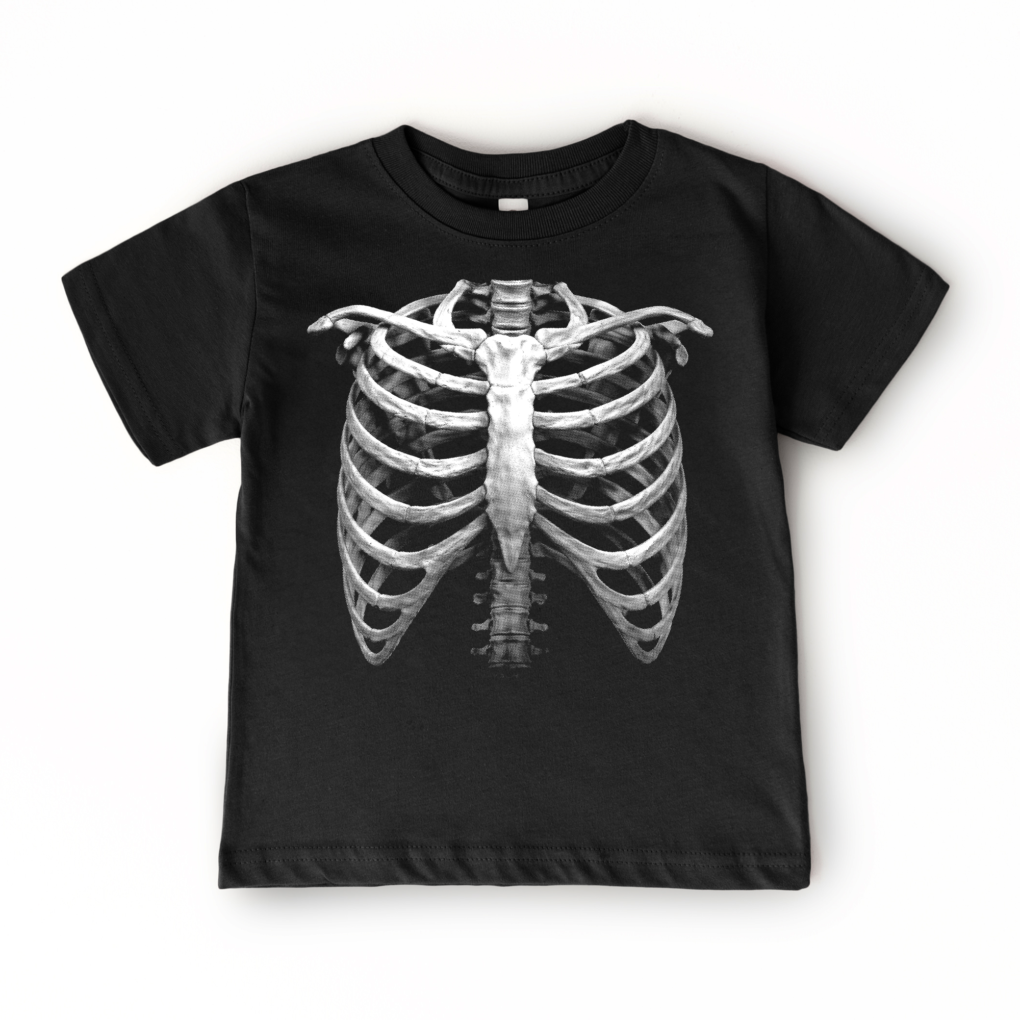 X-Ray