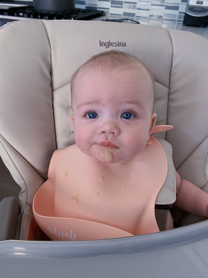 Blush Lotus Silicone Bib